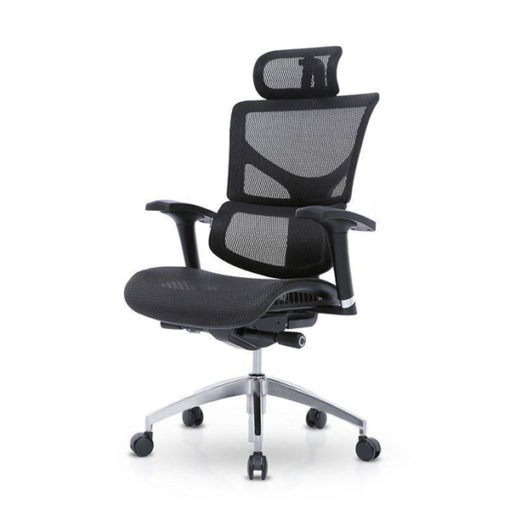 Ergonomic-Chair 2